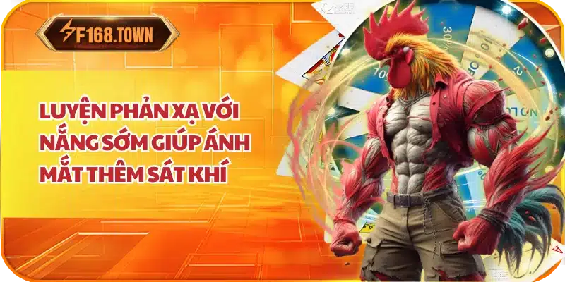  Luyện phản xạ với nắng sớm giúp ánh mắt thêm sát khí